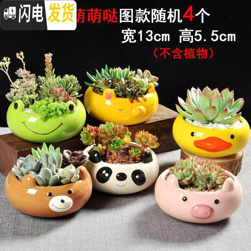 三维工匠多肉陶瓷创意个性简约肉肉植物可爱动物大花盆