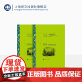 大卫考坡菲/上下 狄更斯著 张谷若译 译文名著精选 世界名著 外国文学小说书籍 外国名著经典读物 上海译文出版社 正正