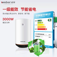 weber威博DL1-40 40升立式热水器家用储水式竖式速热家用一级节能洗澡电热水器