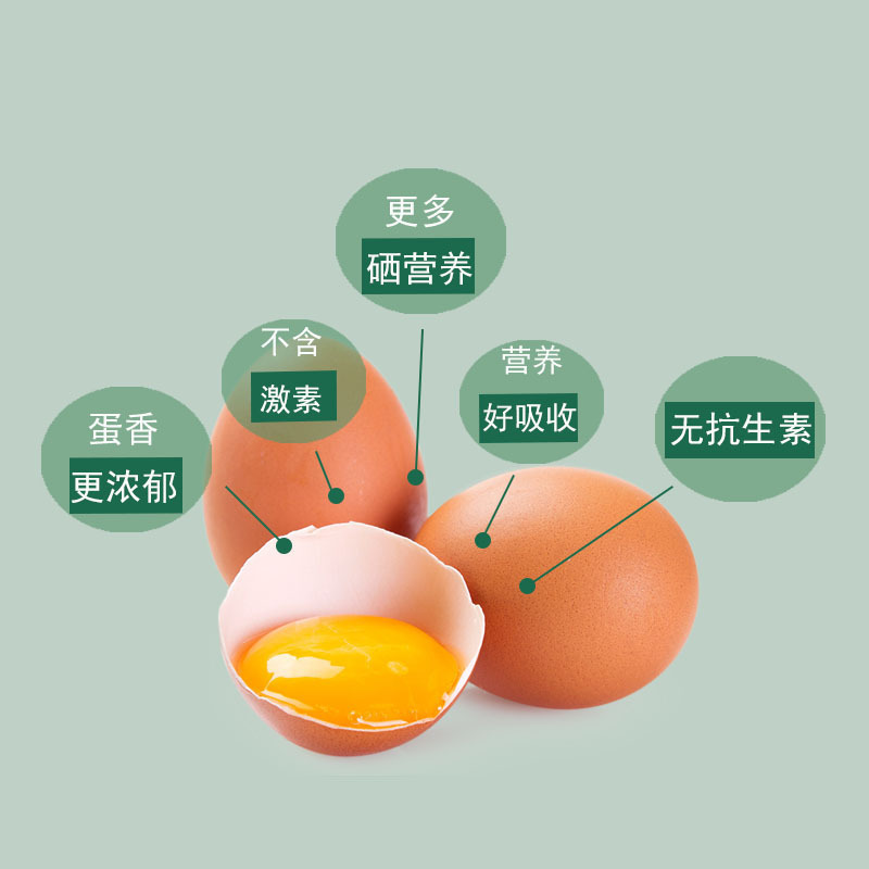 五个农民无抗富硒蛋30枚装土鸡蛋新鲜鸡蛋生鲜礼盒富硒蛋顺丰速运