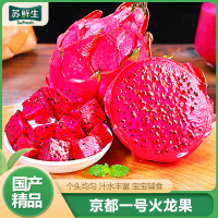 [苏鲜生] 京都一号火龙果 红心火龙果 净重4.8-5.2斤 特大果 箱装 热带 水果 当季新鲜水果