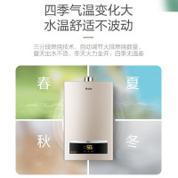 海尔(Haier)燃气热水器家用 智能恒温速热节能省气天然气热水器 变频恒温-12升天然气
