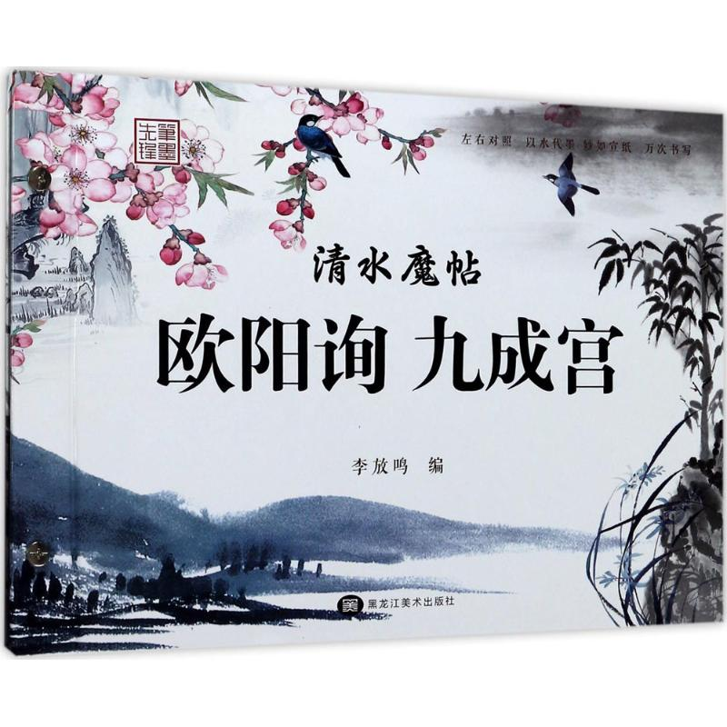 醉染图书清水魔帖9787531895107高清大图