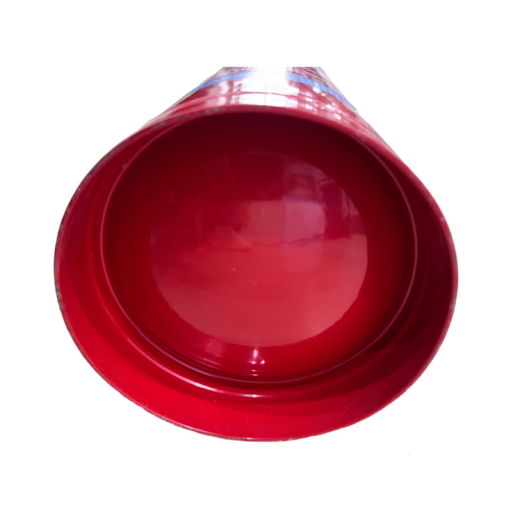 王龍 1kg手提式干粉灭火器 MFZ/ABC1 具高清大图