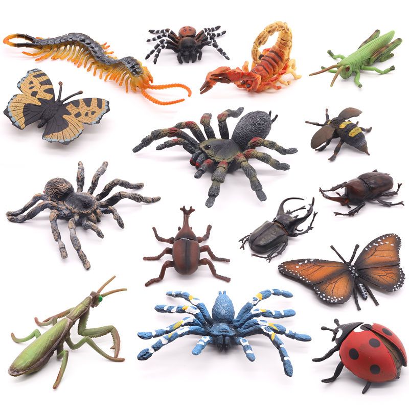仿真蜘蛛模型蜈蚣蚂蚱蝴蝶螳螂独角仙蜜蜂蝎子七星瓢虫玩具昆虫
