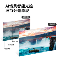 创维(SKYWORTH) 65A5 65英寸4K高清液晶电视大屏电视机智能网络WiFi语音声控投屏教育平板彩电5t