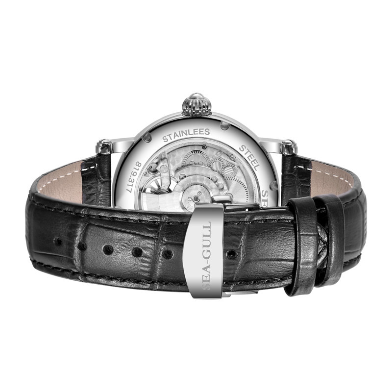 海鸥表(SEAGULL)手表 运动休闲机械表 男表 飞轮系列自动机械 男士手表 819.317高清大图