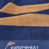 世纪金鹰新疆棉麦穗提花毛巾 125g*1 条