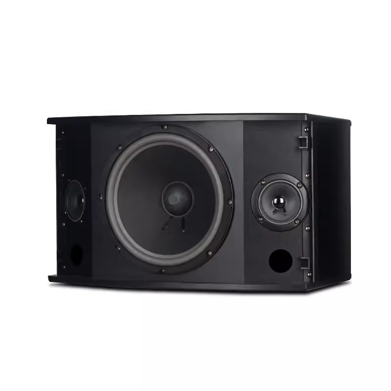 狮乐shilebx103专业ktv卡包箱10英寸舞台会议全频音响家庭卡拉ok音响