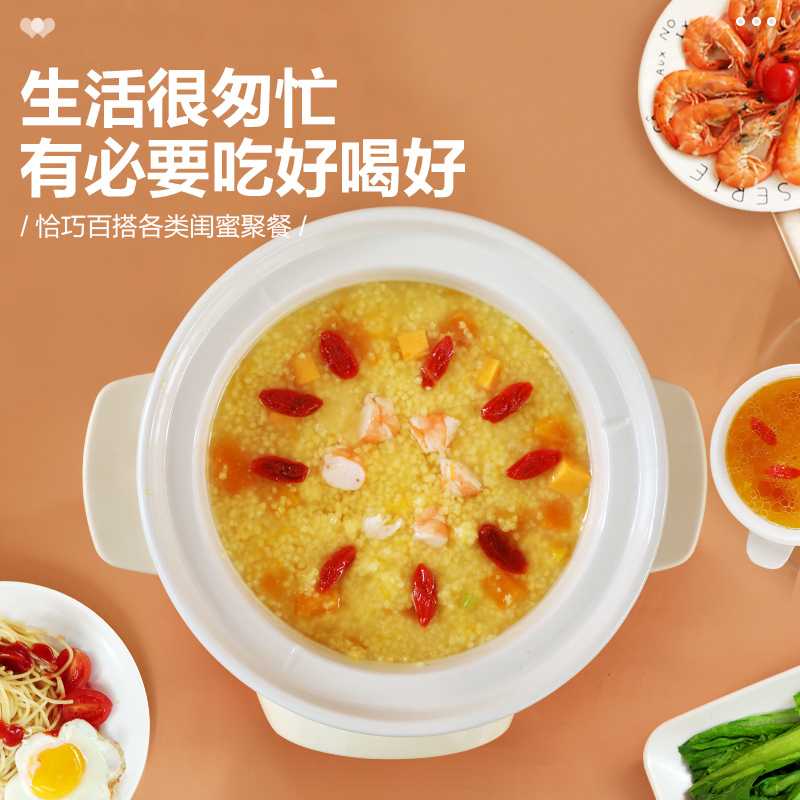 苏泊尔(SUPOR)电炖锅1.5L容量多功能电炖盅煲汤锅炖汤锅煮粥锅燕窝炖盅微电脑控制双层防烫自动保温DG15YC818