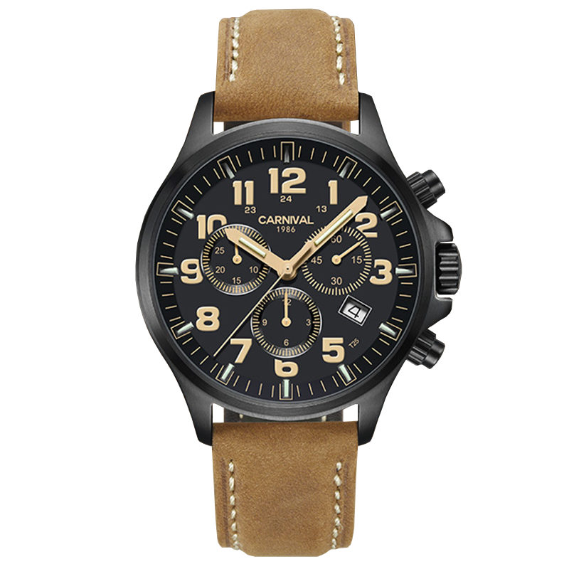 Carnival 8818g sale