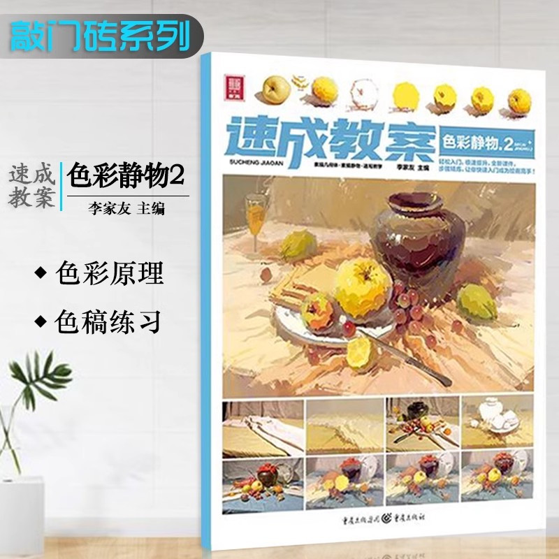 绘画精英班素描头像 [正版]素描静物书几何形体结构明暗结构步骤临摹色彩静物从五官到石膏头像人物速写素描基础教程敲门砖央美