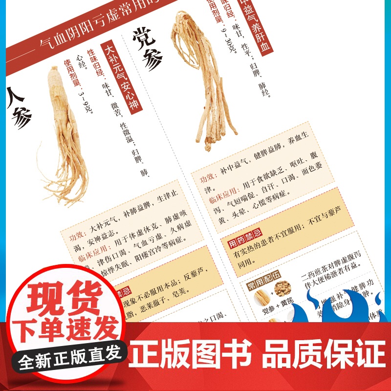 抖音同款]中医特效处方大全正版 活学活用经典中医养生健康调养补血补气书籍典启蒙养生方剂老偏方中医调理书籍秘方临床医学类书高清大图