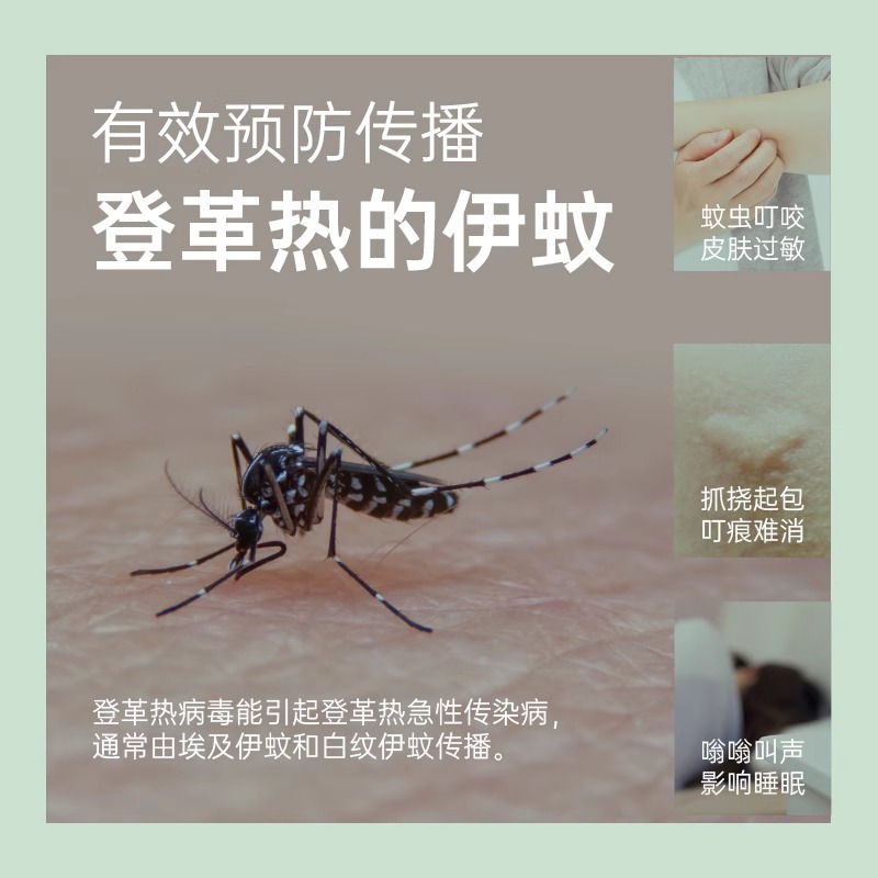 榄菊艾草蚊香家用驱蚊文香 40单圈/盒高清大图