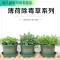 薄荷盆栽可食用青龙皱叶绿植室内除毒驱蚊虫吸甲醛柠檬香蜂