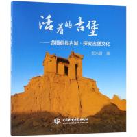 活着的古堡 郑永康 著 绘画(新)社科 新华书店正版图书籍 中国水利水电出版社