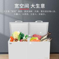 澳柯玛(AUCMA)-38℃低温商用卧式大容量冰柜 冷藏冷冻转换顶盖门 批发雪糕低温冷柜 BC/BD-430SNA