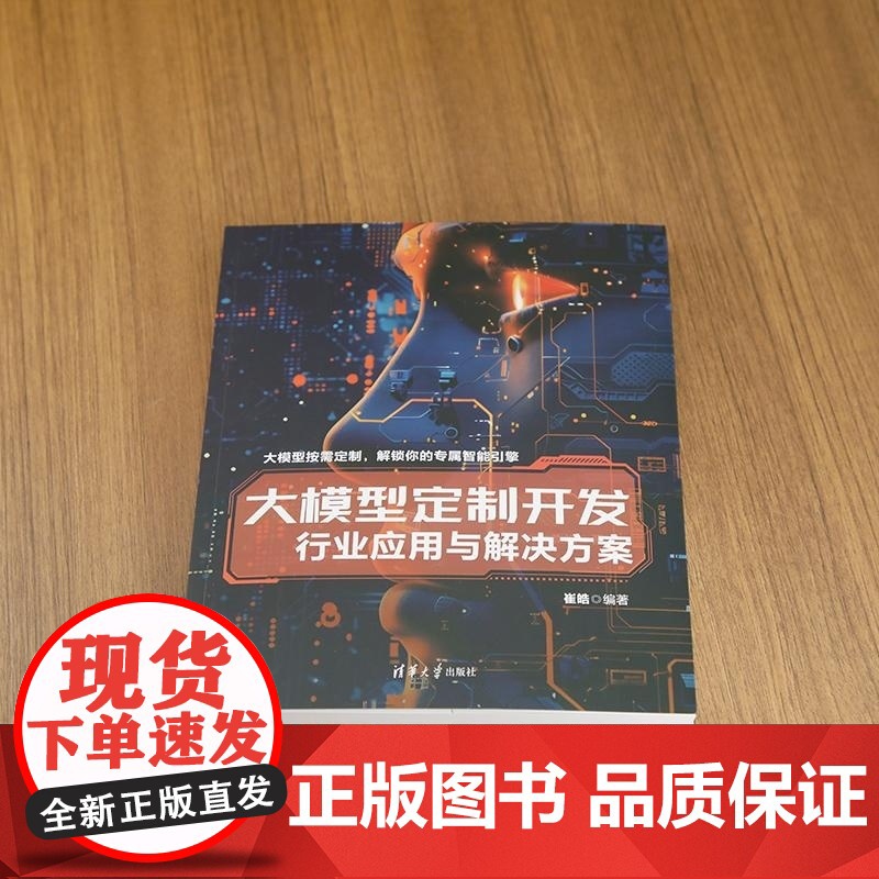 [正版新书]大模型定制开发 行业应用与解决方案 崔皓 清华大学出版社高清大图