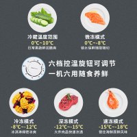 冰熊 188升 家用商用一级能耗节能小冰柜迷你卧式冷藏冷冻双温双箱冷柜