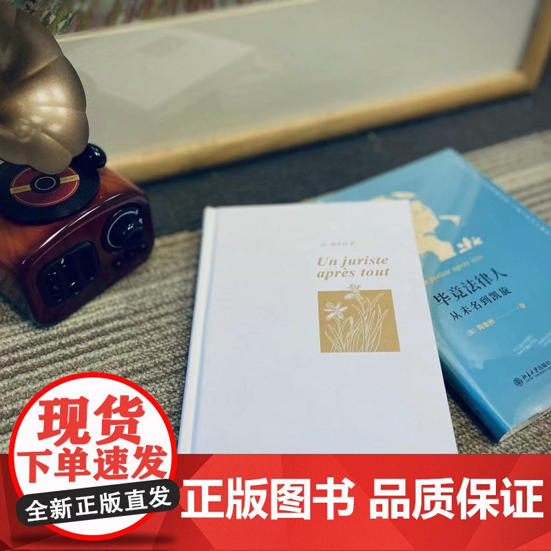 []毕竟法律人:从未名到凯旋 一部集自传、政经评论和法律评论于一体的随笔集 陶景洲著 北京大学出版社 正版书籍高清大图