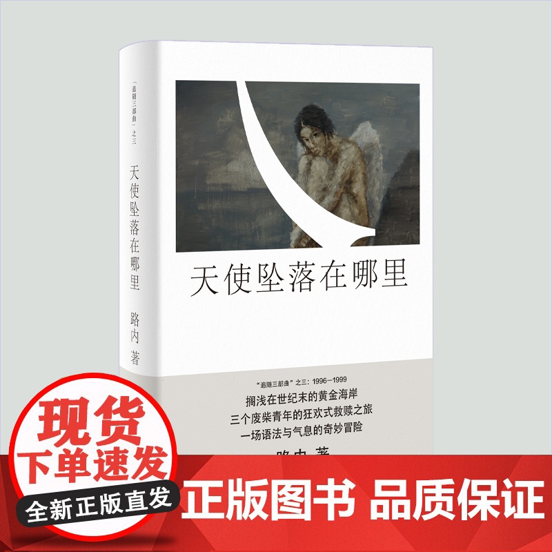 天使坠落在哪里 路内追随系列路内追随系列路内作品另著有关于告别的一切少年巴比伦追随她的旅程十七岁的轻骑兵 上海文艺出版社高清大图