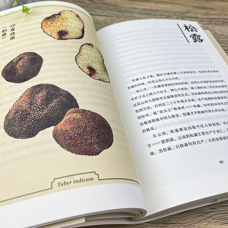 菌中毒 [正版]菌中毒 聂荣庆等著 余华 陈晓卿 蒋方舟等联袂 21个有烟火气的菌子故事 人与菌子一同肆意生长 出版社