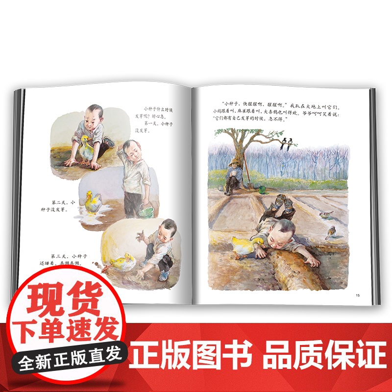 中少阳光图书馆 三颗豆粒一块田高清大图