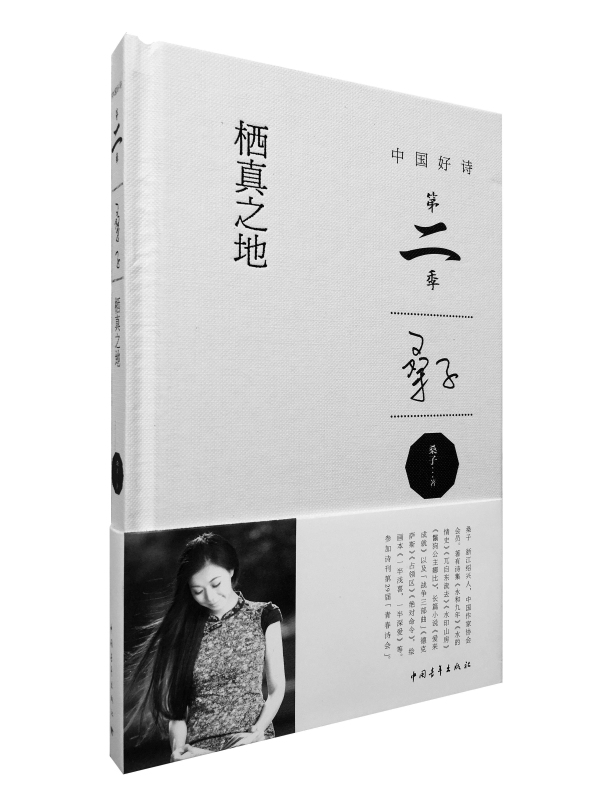 [正版]栖真之地 书店 桑子 中国现当代随笔书籍 书 畅想书高清大图