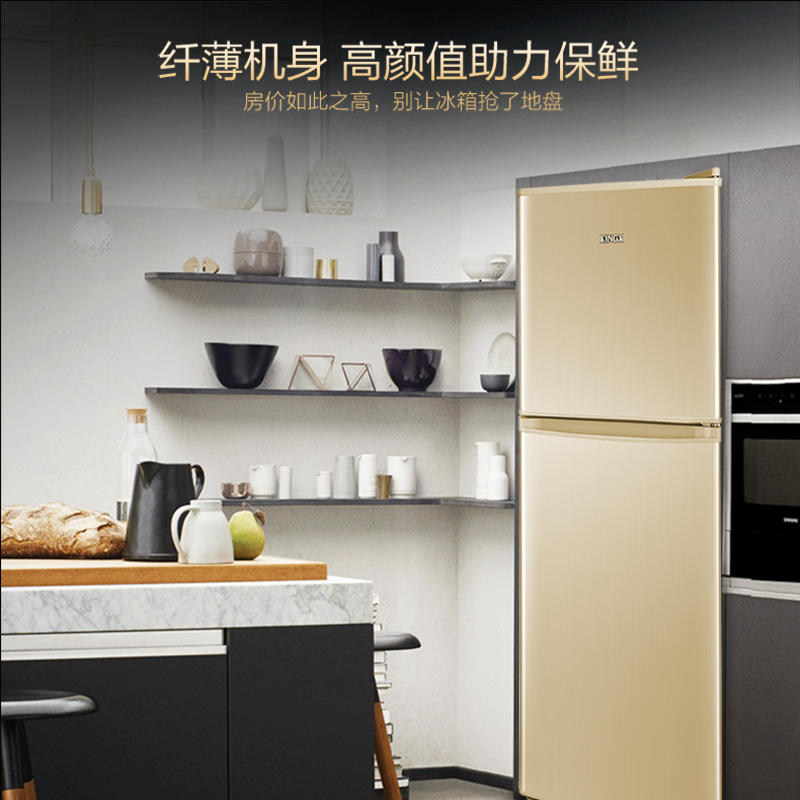 重庆星星(XINGX)BCD-116A