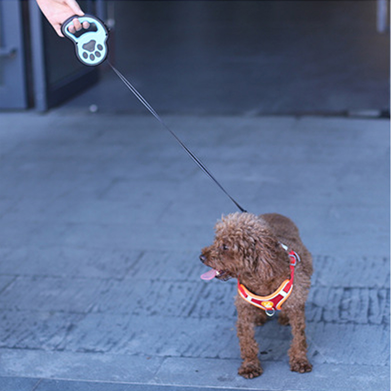 众立方 可伸缩宠物牵引绳加项圈套装 大中小型狗狗绳便携伸缩宠物牵引