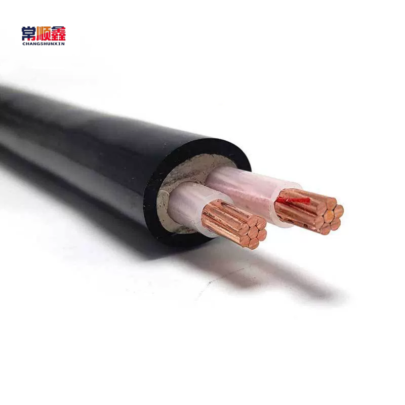 常顺鑫 低压铜芯电缆YJV22 0.6/1KV 2×16 米高清大图