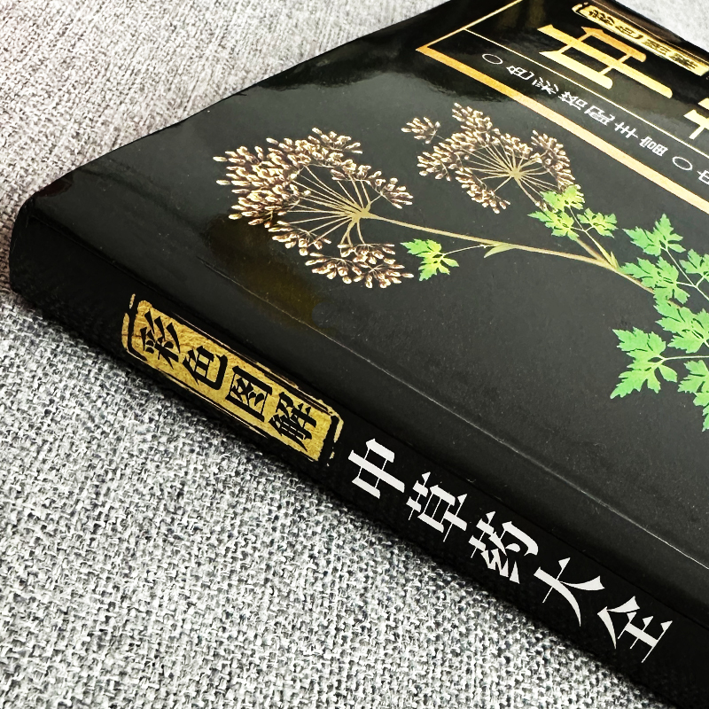 中草药大全彩色图解 [正版]中草药大全彩色图解中草药图鉴大全中医抓药草药方剂书籍饮食营养食疗中草药鉴别常识手册中医基础理高清大图