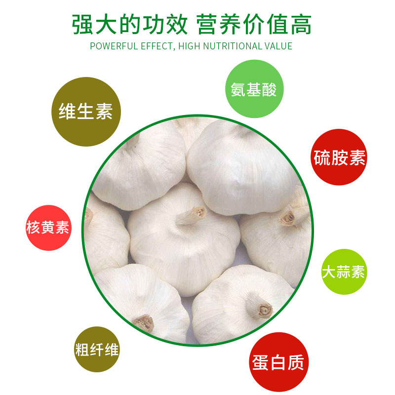 晟秾食品 新鲜干大蒜头5斤装 新蒜农家蔬菜低价零售批发红皮大蒜山东干蒜头味正新鲜