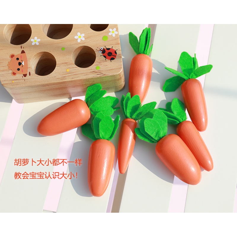 蒙氏教具幼儿早教玩具0-2周岁半宝宝空间概念找相同配对启蒙高清大图