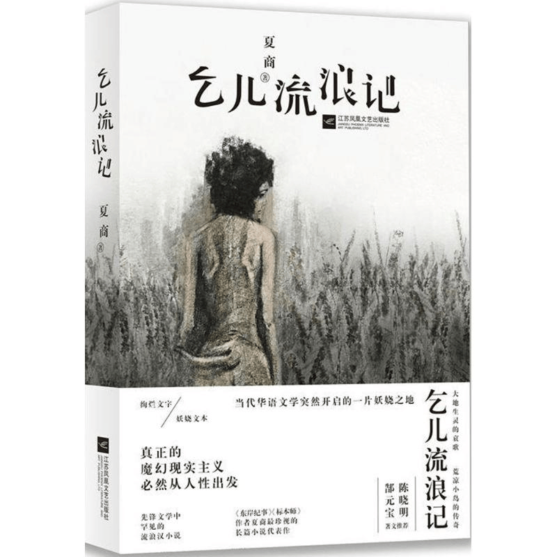 醉染图书乞儿流浪记9787559414090图片