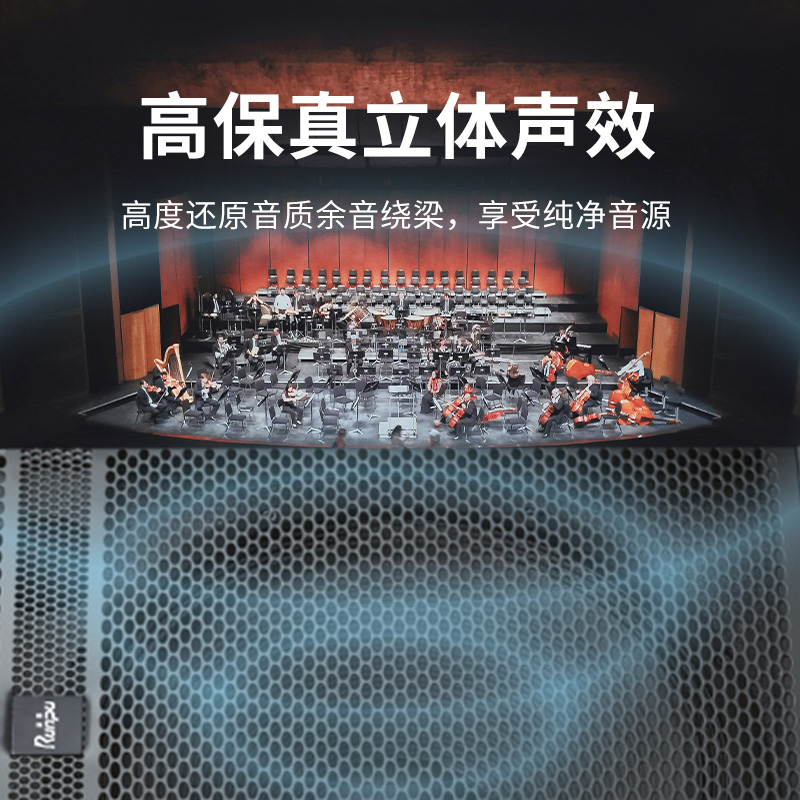 润普Runpu会议音频扩声系统专业双15英寸会议音箱无源音响礼堂会议室扩声音响设备RP-SY-XYC15高清大图