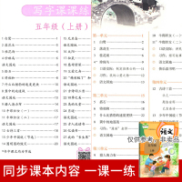 [正版新书]2021新版司马彦部编 人教版5五年级上册同步练字帖小学生天天练入学必备字帖每日一练语文笔画拼音中性笔铅笔钢