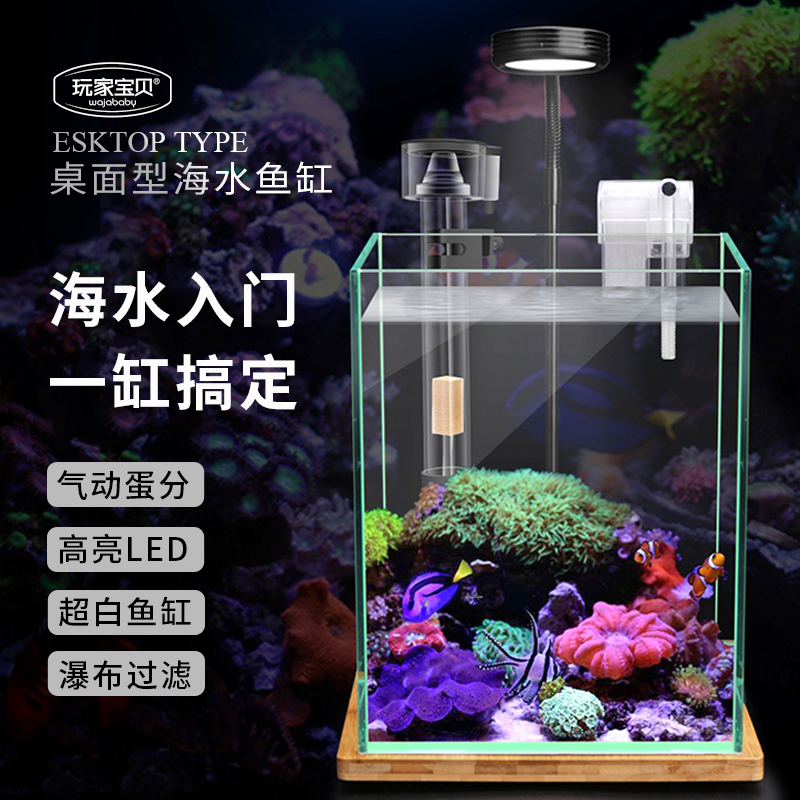 桌面海水缸全套 桌面鱼缸海水鱼缸 带蛋分带过滤 超白玻璃鱼缸高清大图