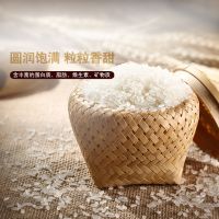【中华特色】河北供销馆 柏各庄 E28米 10kg装 产地直发农家生态种植绿色蟹田珍珠米 河北唐山特产