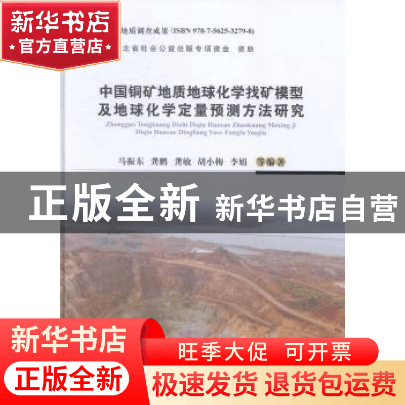正版 中国铜矿地质地球化学找矿模型及地球化学定量预测方法研究图片