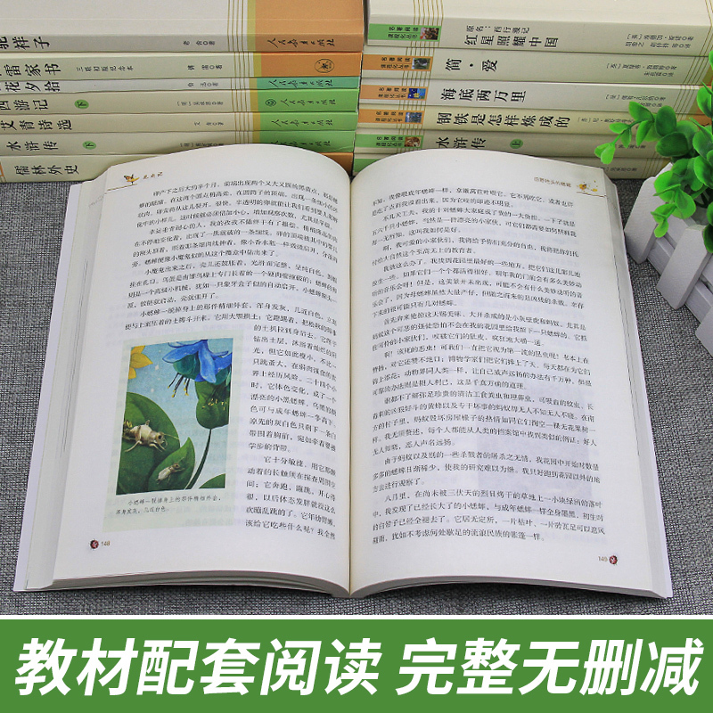 八上 红星照耀中国+昆虫记+长征+飞向太空港+星星+寂静的春天 [人民教育] [正版]七八九年级课外阅读书朝花夕拾西游记
