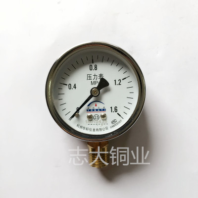 压力表(1.6Kpa) 黄铜加厚家用自来水减压阀稳压阀 热净水器DN15 4分 DN20 6分