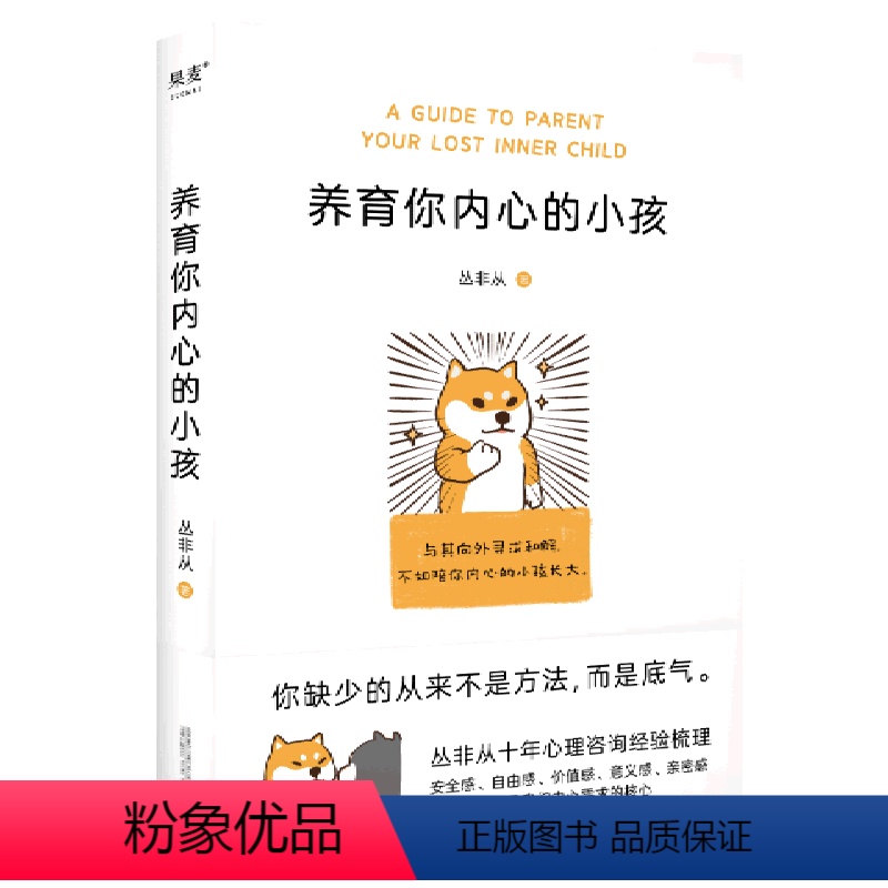 [正版]养育你内心的小孩丛非从十年心理咨询梳理 疗愈你的内在小孩 关于安全感价值感亲密感 心理学入门基础书籍 做自己的