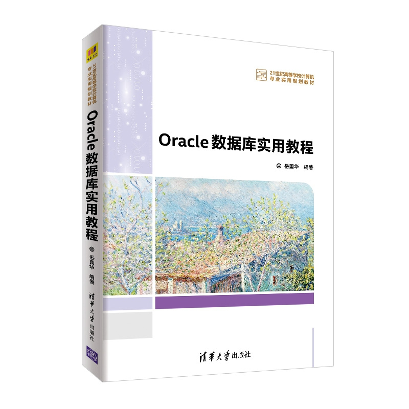 正版 Oracle数据库实用教程 岳国华编著 清华大学出版社 97873025高清大图