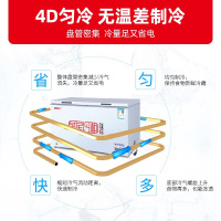 星星(XINGX)480升冰柜 冷柜 卧式大容量保鲜柜商用 冷藏冷冻转换单温冰柜 深冷速冻(白色)BD/BC-480E