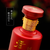 泸州老窖 老窖世家 锦藏 52度 500ml*6瓶 整箱装