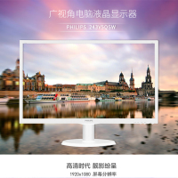 飞利浦(PHILIPS) 显示器 23.6英寸 VA广视角LED全高清液晶电脑显示屏 243V5QSW(白色)