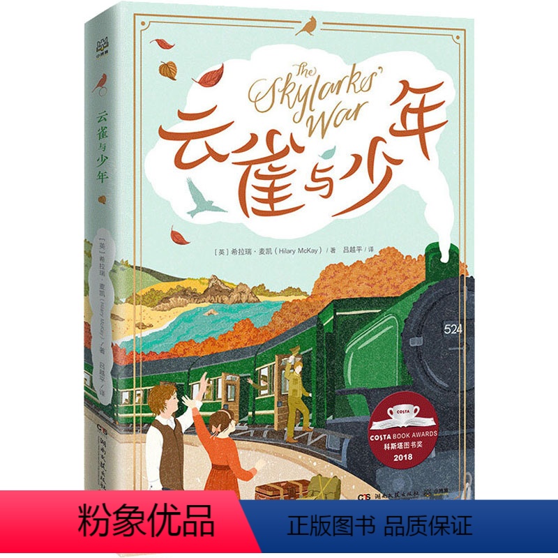 [正版]云雀与少年 (英)希拉瑞·麦凯(Hilary McKay) 书籍 书店 湖南文艺出版社