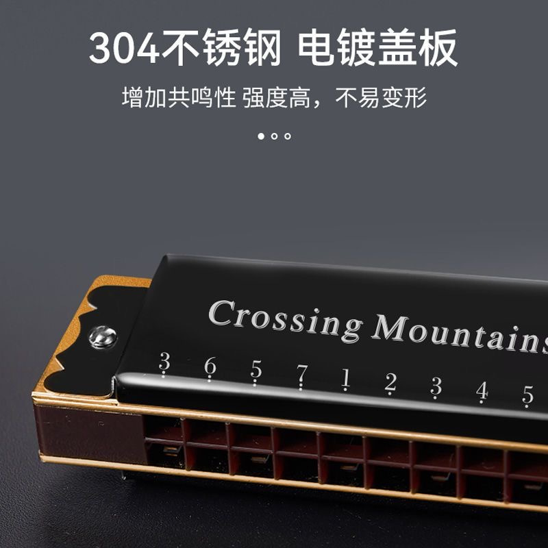 天鹅口琴初学者小学生24孔复音c调儿童入门专用风正品28男士乐器