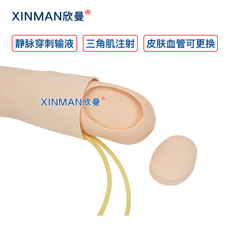 欣曼科教 静脉输液模拟训练模块 手臂静脉穿刺输液及肌肉注射模型 配备可更换的模拟皮肤和血管XM-S1011高清大图